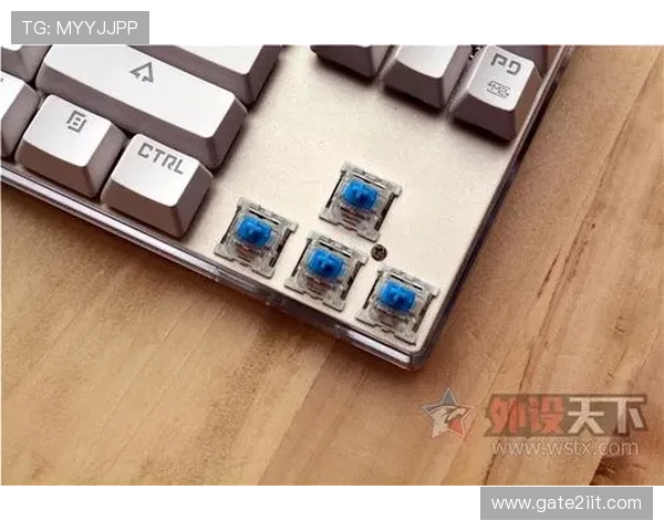 快速掌握K8登陆官网的登录技巧提升游戏体验效率