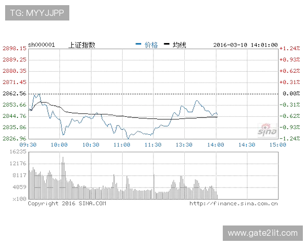 凯发电投网站如何保障用户资金安全与个人信息保护措施分析