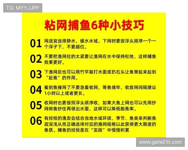 K8捕鱼王技巧详解：提升你的捕鱼技巧实现高分的详细操作技巧